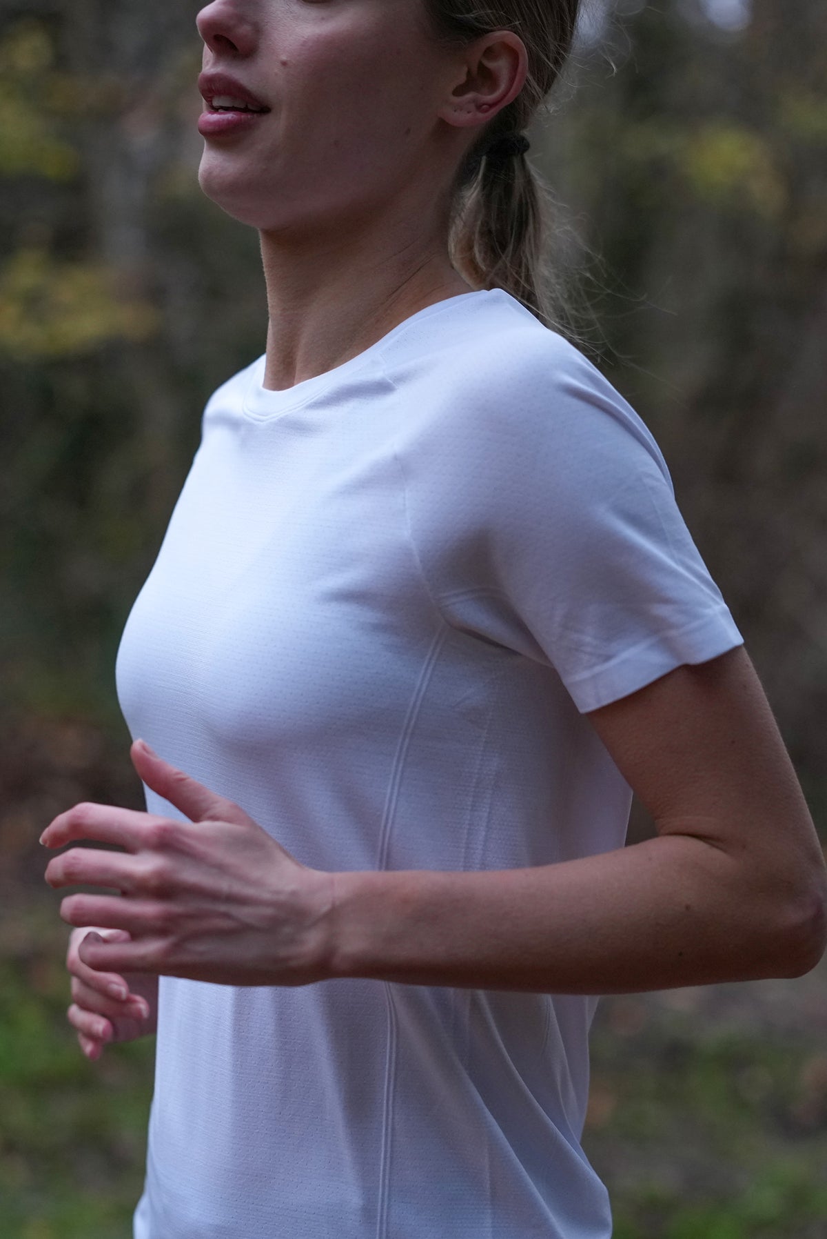 Iceberg White